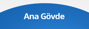 Ana Gövde