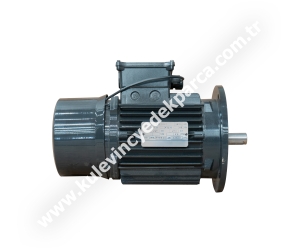 ACF112 5.5 kW Şaryo (Taşıma) Motoru 