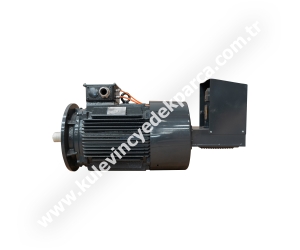 ACF200 30 kW Kanca (Kaldırma) Motoru