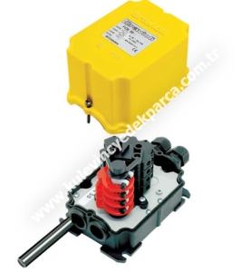 Limit Switch FCN100 (POT) - Ravioli