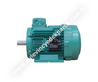 LSES100LG 3 kW Asenkron Motor