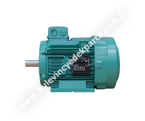 LSES100LG 3 kW Asenkron Motor