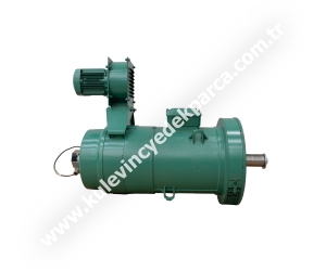 PLS200M 37 kW Leroy Somer Kanca (Kaldırma) Motoru (10 ton)